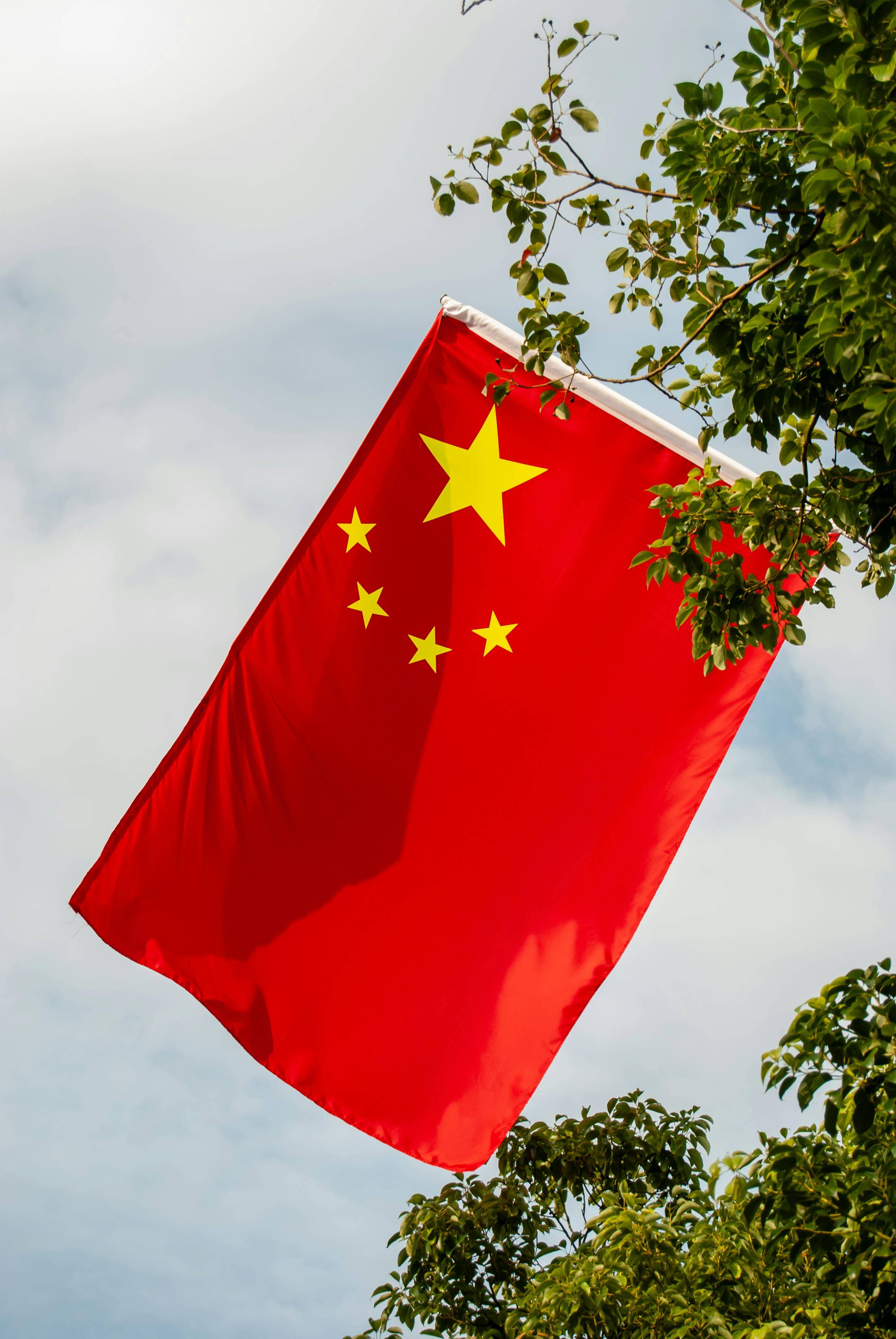东方不败：金庸江湖里的职场神话一根绣花针背后的管理学启示